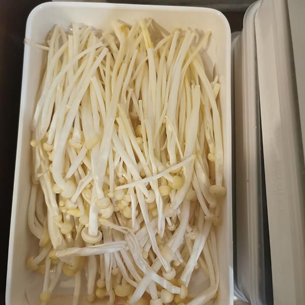 金针菇